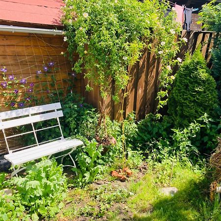 Ferienhaus Am Wasser Im Gruenen Zecherin エクステリア 写真
