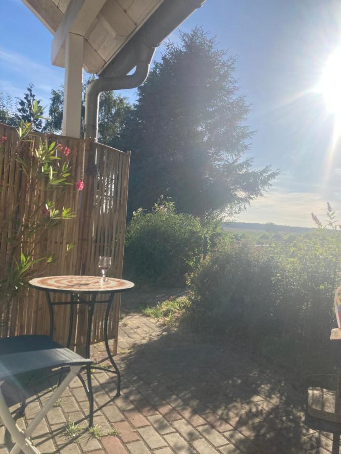 Ferienhaus Am Wasser Im Gruenen Zecherin エクステリア 写真