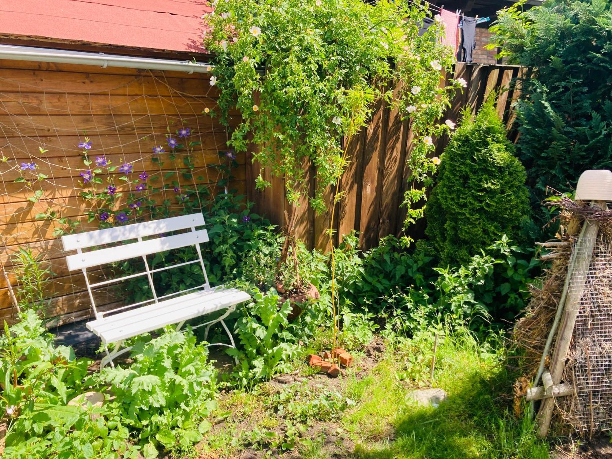 Ferienhaus Am Wasser Im Gruenen Zecherin エクステリア 写真
